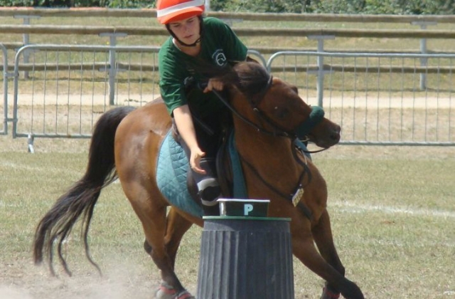 Aventure a cheval et entrainements